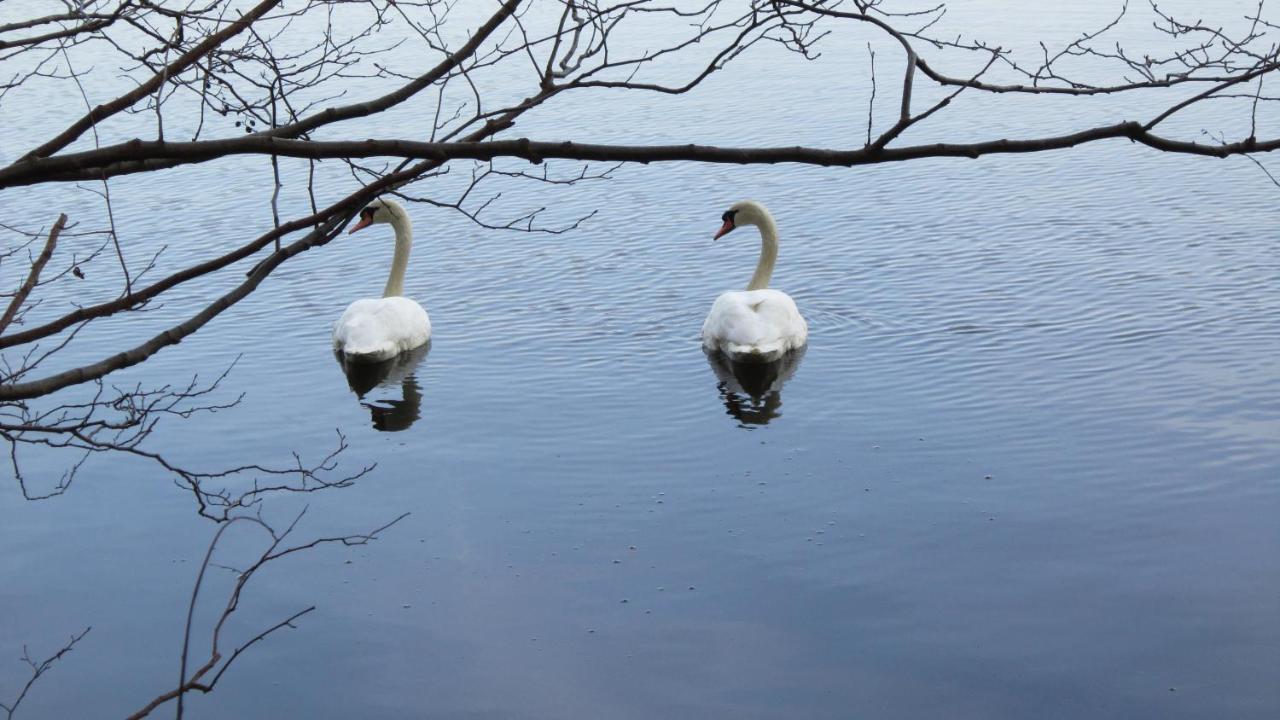 Fewo-filter-mölln * Mölln